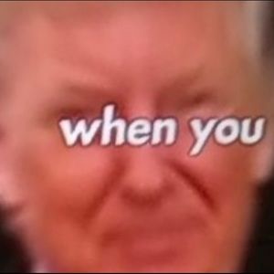 Meet your Posher, Javier